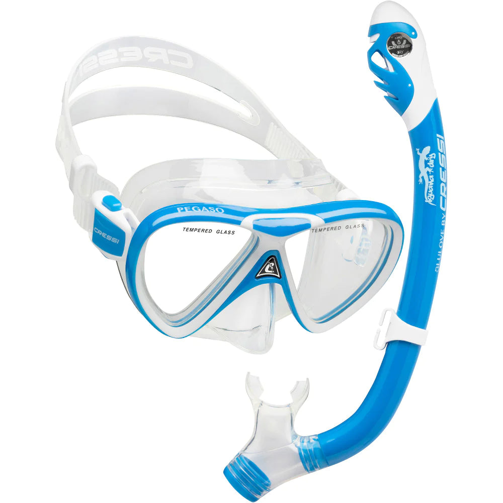 CRESSI PEGASO MASK & IGUANA DRY SNORKEL COMBO – Bob's Scuba Shop